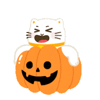 Cat Halloween Sticker by Bank Neo Commerce