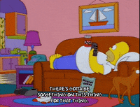 homer simpson episode 25 GIF