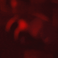 undercard fitness boxing undercard GIF