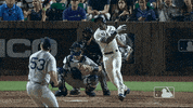 Regular Season Sport GIF by MLB