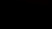 mascot griffins GIF by Gwynedd Mercy University