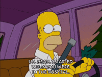 Driving Season 17 GIF by The Simpsons