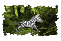 Animated Sticker