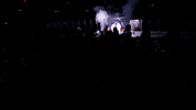 NewYorkRiptide new york lacrosse nll riptide GIF