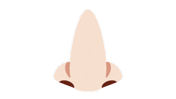 emojivid emoji people nose emojivid Sticker