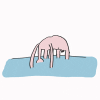 Cool Down Summer Days GIF by jagheterpiwa