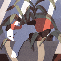 Sleepy Do Not Disturb GIF by Jeannie Phan