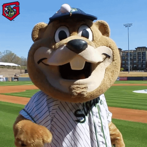strike youre out GIF by Gwinnett Stripers