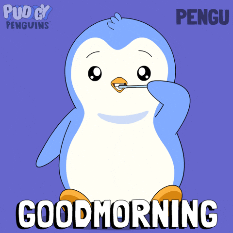 Getting Ready Good Morning GIF by Pudgy Penguins
