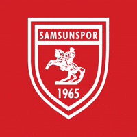 King Of The North GIF by YILPORT SAMSUNSPOR