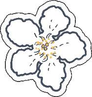 Flower Sticker by YOOLETTA
