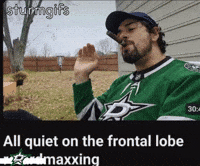 Dallas Stars Hockey GIF