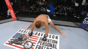 ufc 205 GIF