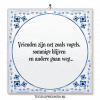 Humor Nl GIF by Tegelspreuken.nl