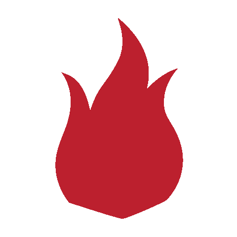 Flavour Asun Sticker by Get Grill