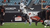 Tar Heels Celebration GIF by Carolina Football