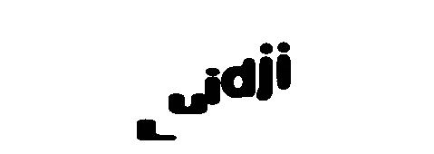 Typography Festival Sticker by Julie Maubé