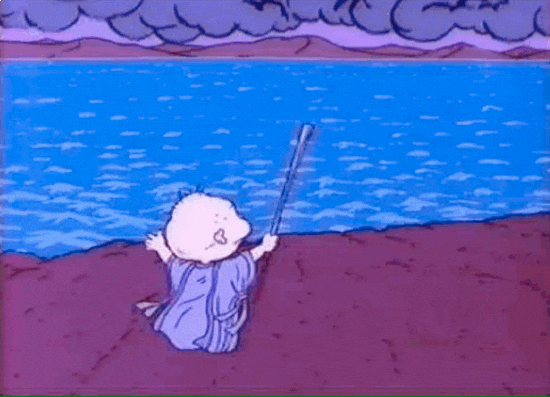 Red Sea Rugrats GIF