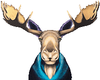 Wild Animal Wildlife Sticker