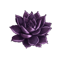 Flower Peace Sticker