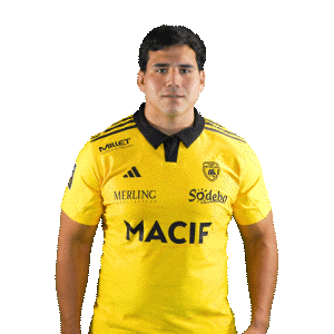Rugby Galvan Sticker by Stade Rochelais