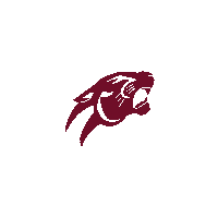 Vuu Virginiaunion Sticker by Virginia Union University