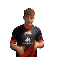TeamNitroGG sad team marco nitro Sticker