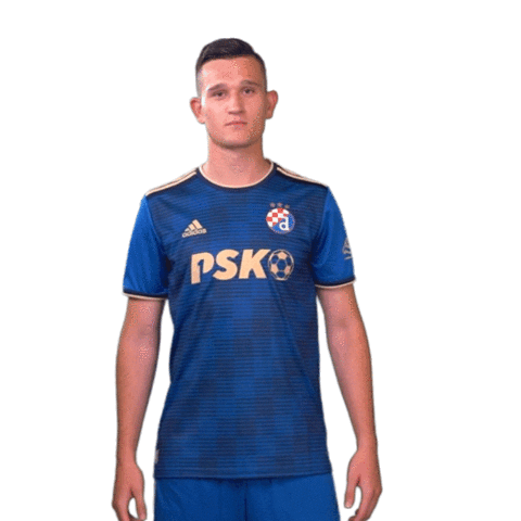 Football Soccer Sticker by GNK Dinamo