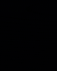 TOMASARSOV hair haircare tomasarsov tomas arsov GIF
