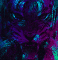 rain forest tiger GIF by Morena Daniela