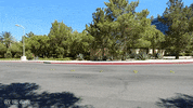 sports car cobra GIF by Off The Jacks