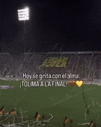 Deportes Tolima Win GIF