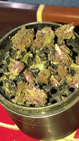 weed marijuana GIF by WeedFeed