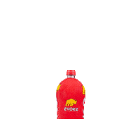 evokeenergybrasil energy energydrink rhino evoke Sticker