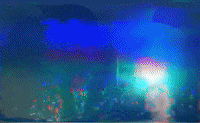 Ji Lil Tjay GIF by YXNG K.A