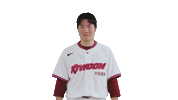 Kbo Sticker by Kiwoom Heroes Baseball Club