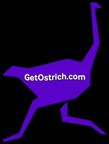 ostrichapp giphygifmaker fintech ostrich ostrichapp GIF