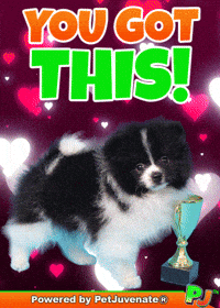 PetJuvenate petjuvenate henlo hooman fren love rescue dogs treatos and woofer for pupper GIF