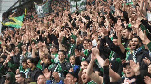 Geoffroy-Guichard Fans GIF by AS Saint-Étienne