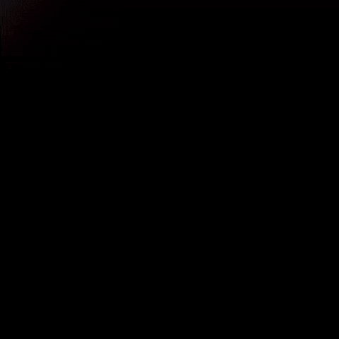 Meow Thank You GIF