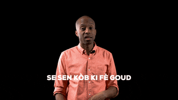 Haitian Flag Haiti GIF by Bernardson