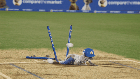 Cricket Fail GIF by Compare the Market