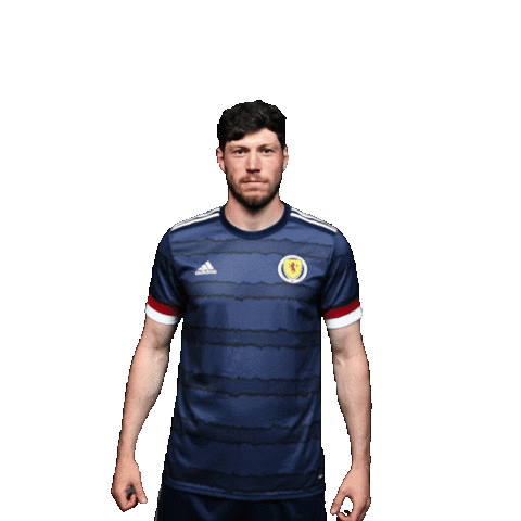 Euro 2020 Football Sticker by UEFA