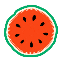 Fruit Watermelon Sticker by Nix & Kix