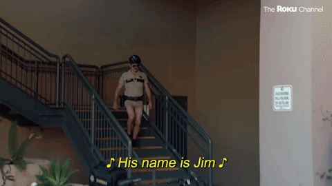 Reno 911 GIF by The Roku Channel