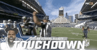 Regular Season Football GIF by NFL