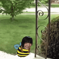 Bumble Bee Streamer GIF
