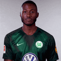 france no GIF by VfL Wolfsburg