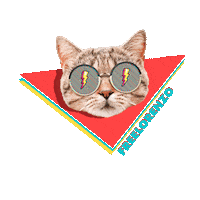 sunglasses sol Sticker by parafinaco