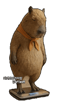 Sad Korea Sticker